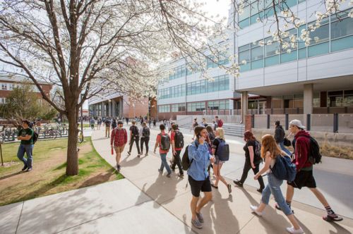 Students walking on campus